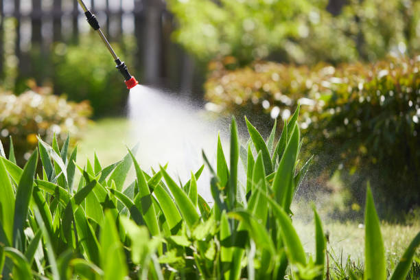 24/7 Emergency Fumigation Services experts in Lawrenceville, IL