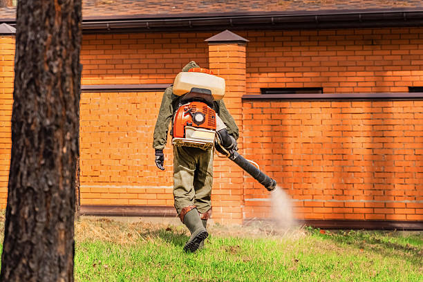 Trusted Rodent Control service in Lawrenceville, IL - Nex Pest Control